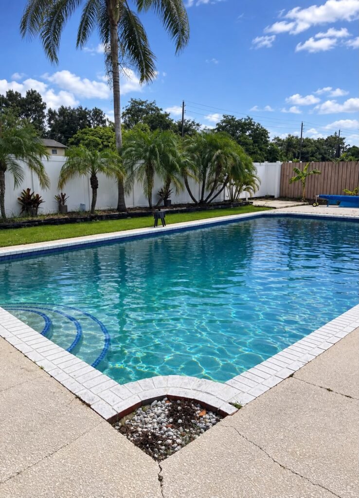 Piscina de patio trasero entre palmeras y muro blanco, con el agua transparente
